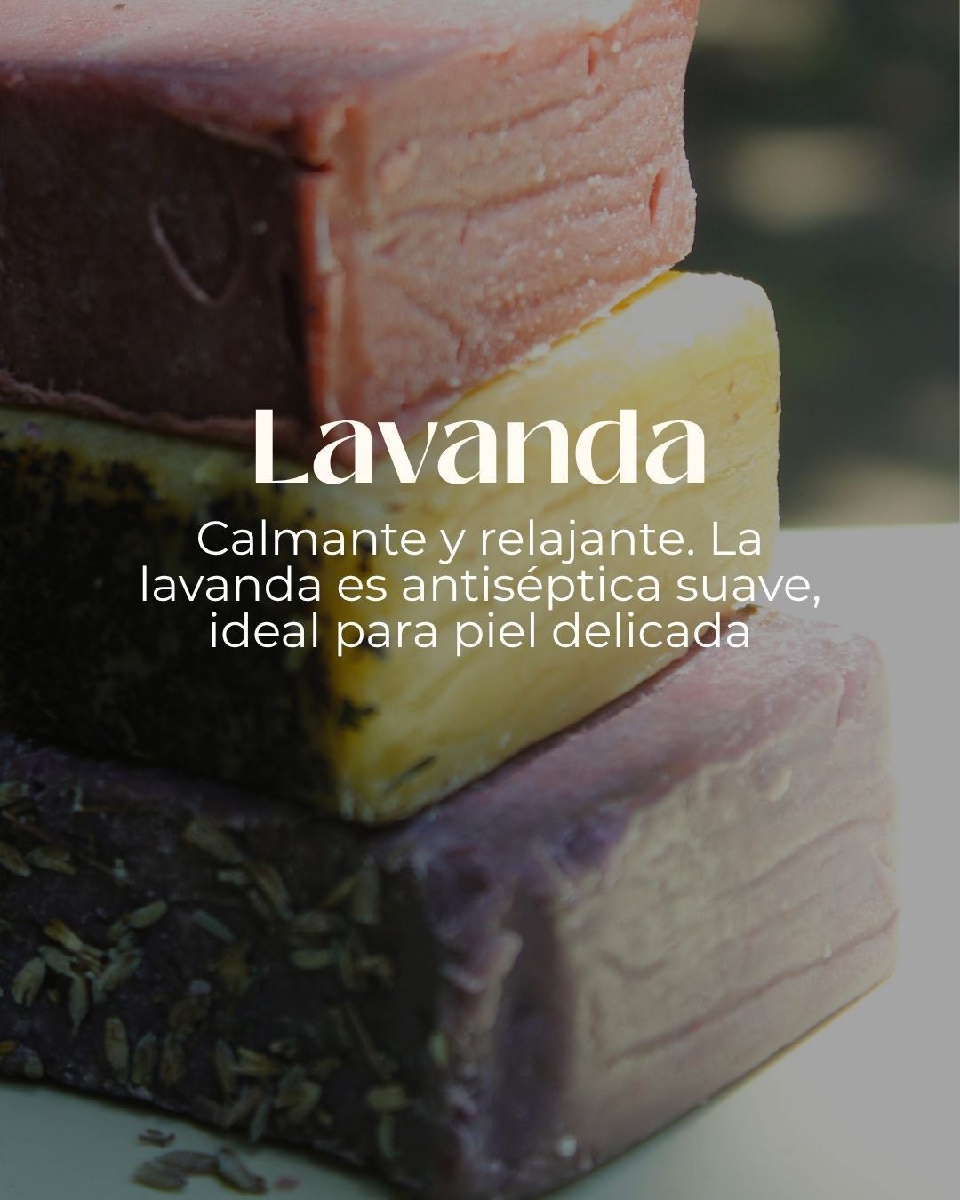 Jabón Lavanda